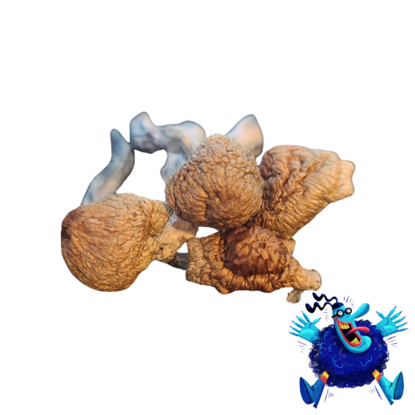 Buy Blue Meanie mushrooms online—this potent strain offers vivid visuals and intense psychedelic effects, perfect for recreational and therapeutic experiences.